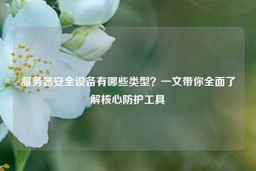 服务器安全设备有哪些类型？一文带你全面了解核心防护工具