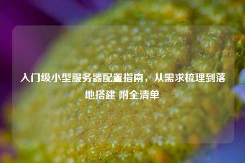 入门级小型服务器配置指南,从需求梳理到落地搭建 附全清单