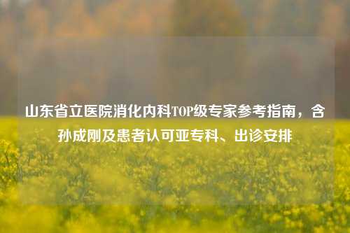 山东省立医院消化内科TOP级专家参考指南，含孙成刚及患者认可亚专科、出诊安排