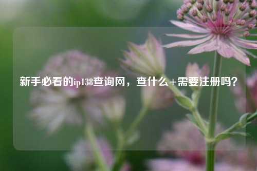 新手必看的ip138查询网，查什么+需要注册吗？