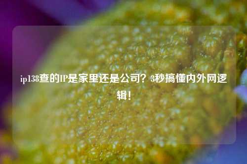 ip138查的IP是家里还是公司？3秒搞懂内外网逻辑！