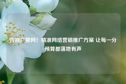 告别广撒网！精准网络营销推广方案 让每一分预算都落地有声