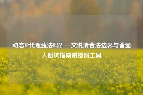 动态IP代理违法吗？一文说清合法边界与普通人避坑指南附检测工具