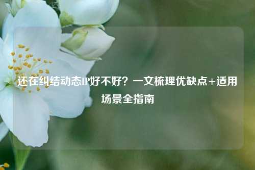 还在纠结动态IP好不好？一文梳理优缺点+适用场景全指南