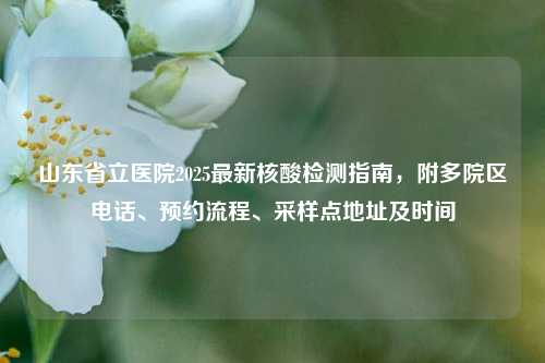 山东省立医院2025最新核酸检测指南，附多院区电话、预约流程、采样点地址及时间