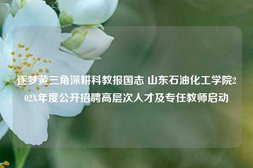 逐梦黄三角深耕科教报国志 山东石油化工学院202X年度公开招聘高层次人才及专任教师启动