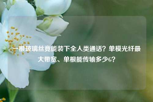 一根玻璃丝竟能装下全人类通话？单模光纤最大带宽、单根能传输多少G？