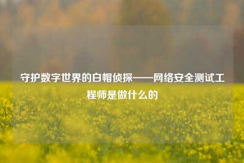 守护数字世界的白帽侦探——网络安全测试工程师是做什么的