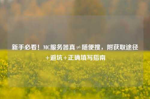 新手必看！MC服务器真≠随便搜，附获取途径+避坑+正确填写指南