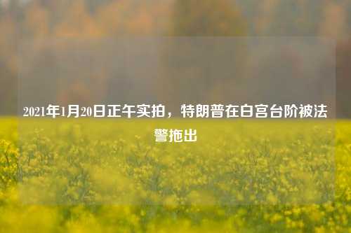 2021年1月20日正午实拍，特朗普在白宫台阶被法警拖出
