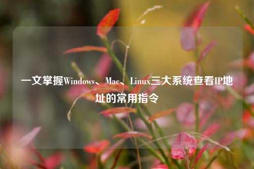 一文掌握Windows、Mac、Linux三大系统查看IP地址的常用指令