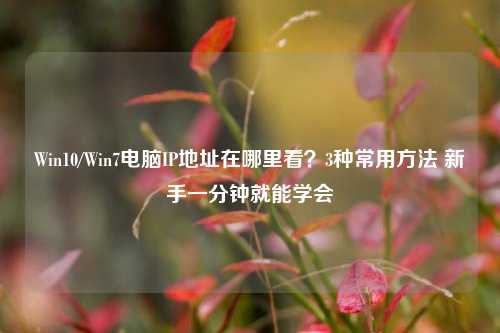 Win10/Win7电脑IP地址在哪里看？3种常用方法 新手一分钟就能学会