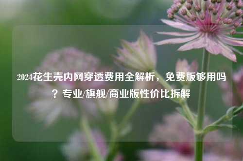 2024花生壳内网穿透费用全解析，免费版够用吗？专业/旗舰/商业版性价比拆解