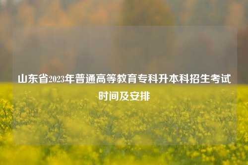 山东省2023年普通高等教育专科升本科招生考试时间及安排