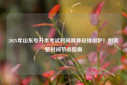 202X年山东专升本考试时间具体安排出炉！附完整时间节点指南
