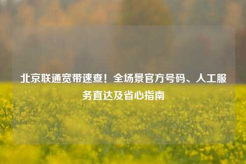 北京联通宽带速查!全场景官方号码、人工服务直达及省心指南