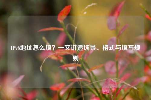IPv6地址怎么填?一文讲透场景、格式与填写规则
