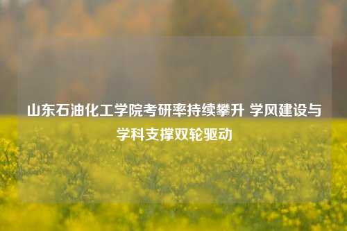 山东石油化工学院考研率持续攀升 学风建设与学科支撑双轮驱动