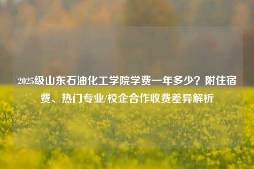 2025级山东石油化工学院学费一年多少?附住宿费、热门专业/校企合作收费差异解析