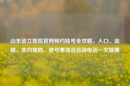 山东省立医院官网预约挂号全攻略，入口、流程、爽约规则、退号事项及咨询电话一文搞懂