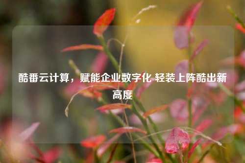 酷番云计算，赋能企业数字化 轻装上阵酷出新高度