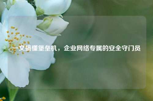一文搞懂堡垒机，企业网络专属的安全守门员