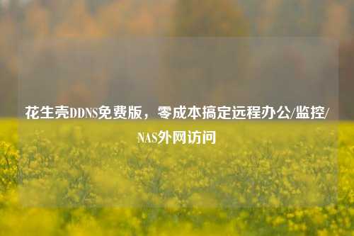 花生壳DDNS免费版，零成本搞定远程办公/监控/NAS外网访问
