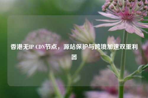 香港无IP CDN节点,源站保护与跨境加速双重利器