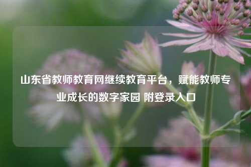 山东省教师教育网继续教育平台，赋能教师专业成长的数字家园 附登录入口