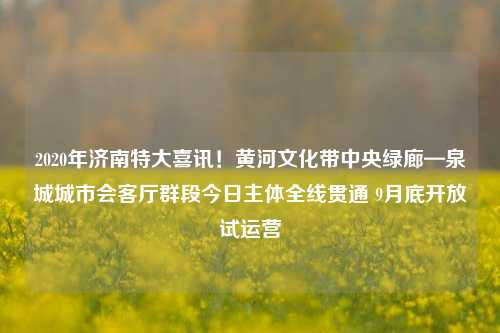 2020年济南特大喜讯！黄河文化带中央绿廊—泉城城市会客厅群段今日主体全线贯通 9月底开放试运营