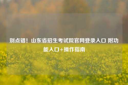 别点错！山东省招生考试院官网登录入口 附功能入口+操作指南