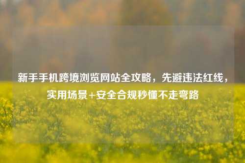 新手手机跨境浏览网站全攻略,先避违法红线,实用场景+安全合规秒懂不走弯路