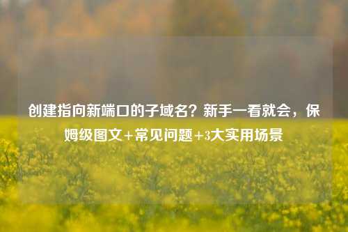 创建指向新端口的子域名?新手一看就会,保姆级图文+常见问题+3大实用场景