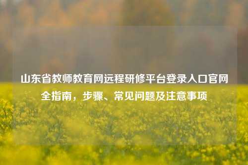 山东省教师教育网远程研修平台登录入口官网全指南，步骤、常见问题及注意事项
