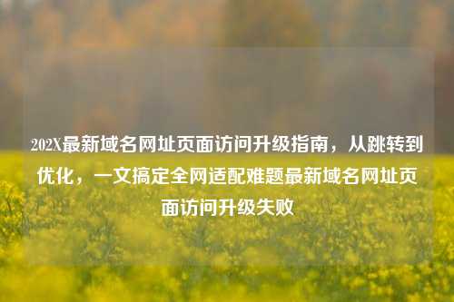 202X最新域名网址页面访问升级指南，从跳转到优化，一文搞定全网适配难题最新域名网址页面访问升级失败