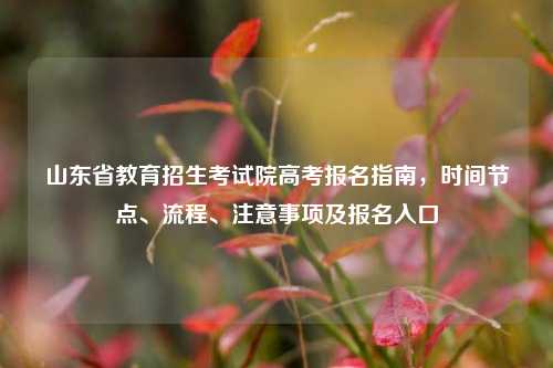 山东省教育招生考试院高考报名指南，时间节点、流程、注意事项及报名入口
