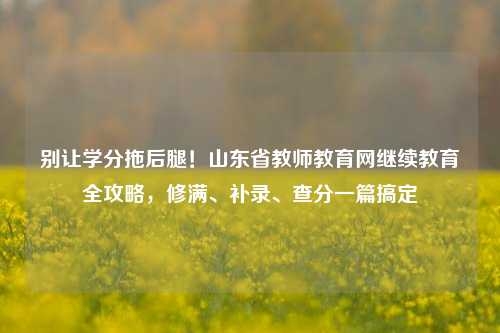 别让学分拖后腿！山东省教师教育网继续教育全攻略，修满、补录、查分一篇搞定