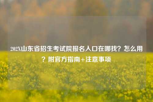 202X山东省招生考试院报名入口在哪找?怎么用?附官方指南+注意事项