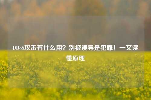 DDoS攻击有什么用?别被误导是犯罪!一文读懂原理
