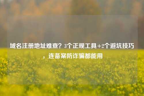 域名注册地址难查？3个正规工具+2个避坑技巧，连备案防诈骗都能用