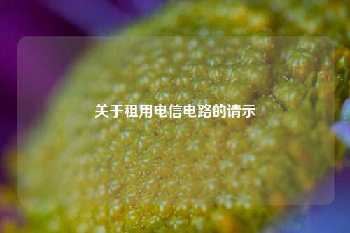 关于租用电信电路的请示