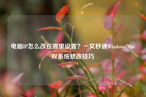 电脑IP怎么改在哪里设置?一文秒通Windows/Mac双系统修改技巧