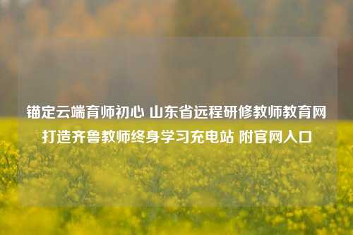 锚定云端育师初心 山东省远程研修教师教育网打造齐鲁教师终身学习充电站 附官网入口