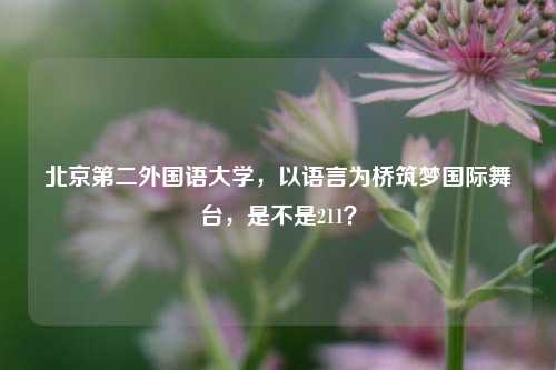 北京第二外国语大学，以语言为桥筑梦国际舞台，是不是211？
