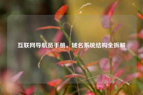 互联网导航员手册，域名系统结构全拆解