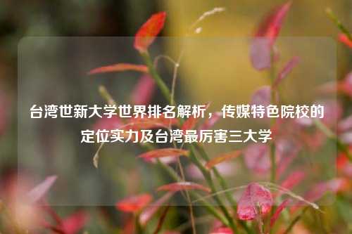 台湾世新大学世界排名解析，传媒特色院校的定位实力及台湾最厉害三大学