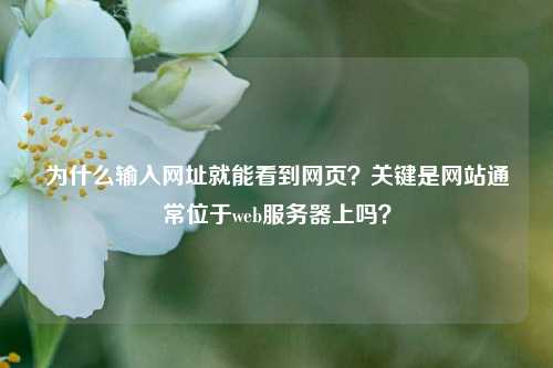 为什么输入网址就能看到网页？关键是网站通常位于web服务器上吗？