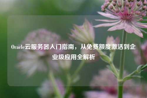 Oracle云服务器入门指南，从免费额度激活到企业级应用全解析
