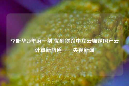 季昕华20年磨一剑 优刻得以中立云锚定国产云计算新航道——央视新闻