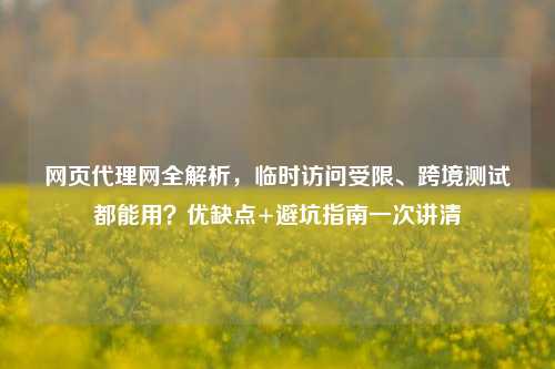 网页代理网全解析,临时访问受限、跨境测试都能用?优缺点+避坑指南一次讲清